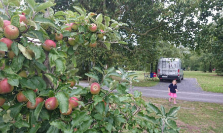 The Apple Farm campsite is well worth the trip to Tipp