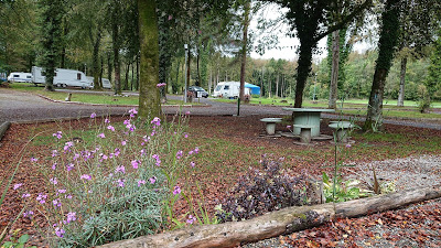 Curraghchase camping 2