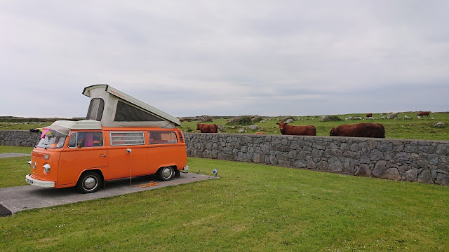 Orange van and cows