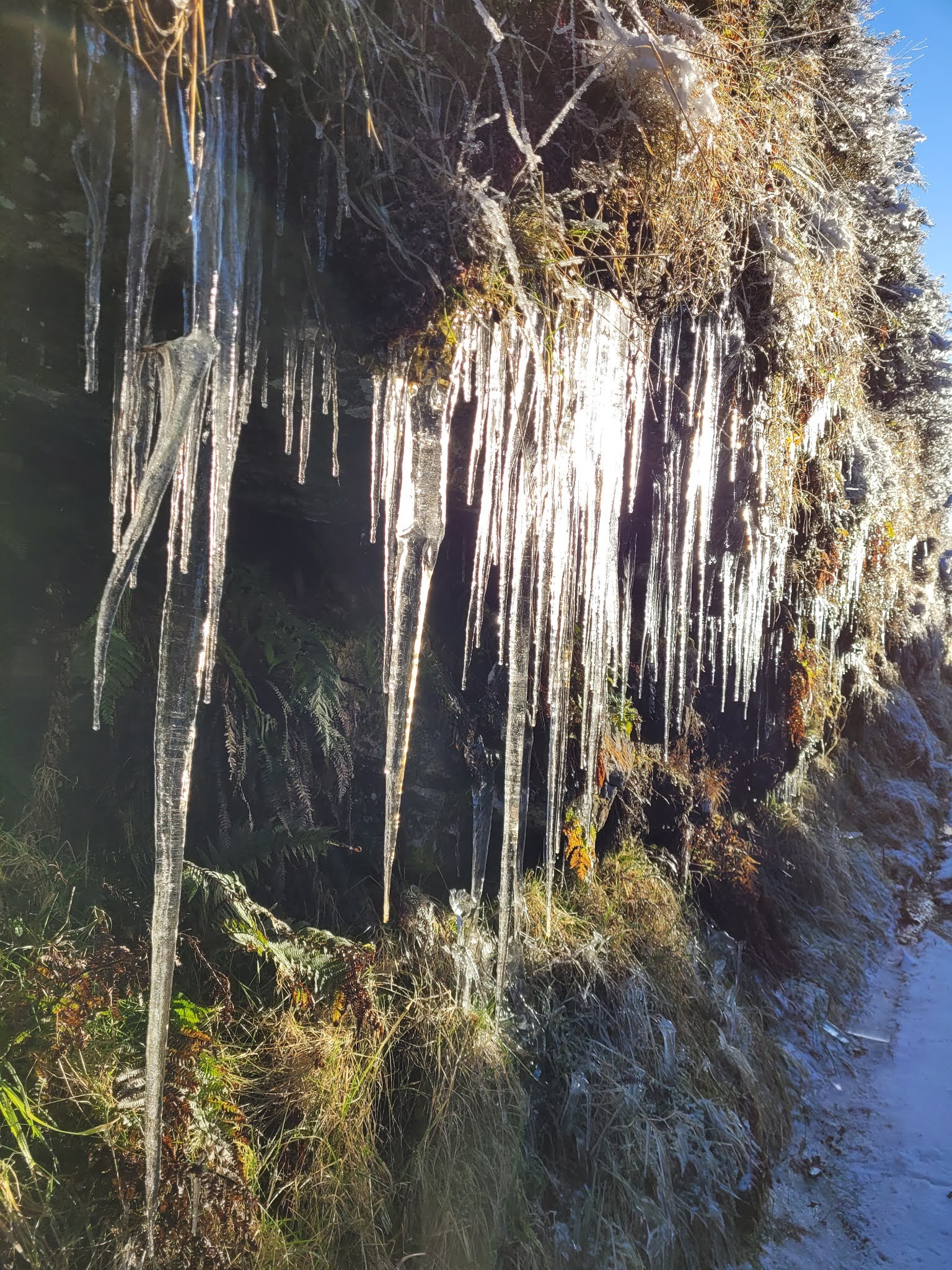 The Cut icicles