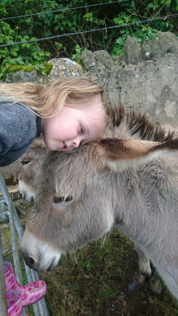 Nore Valley donkey