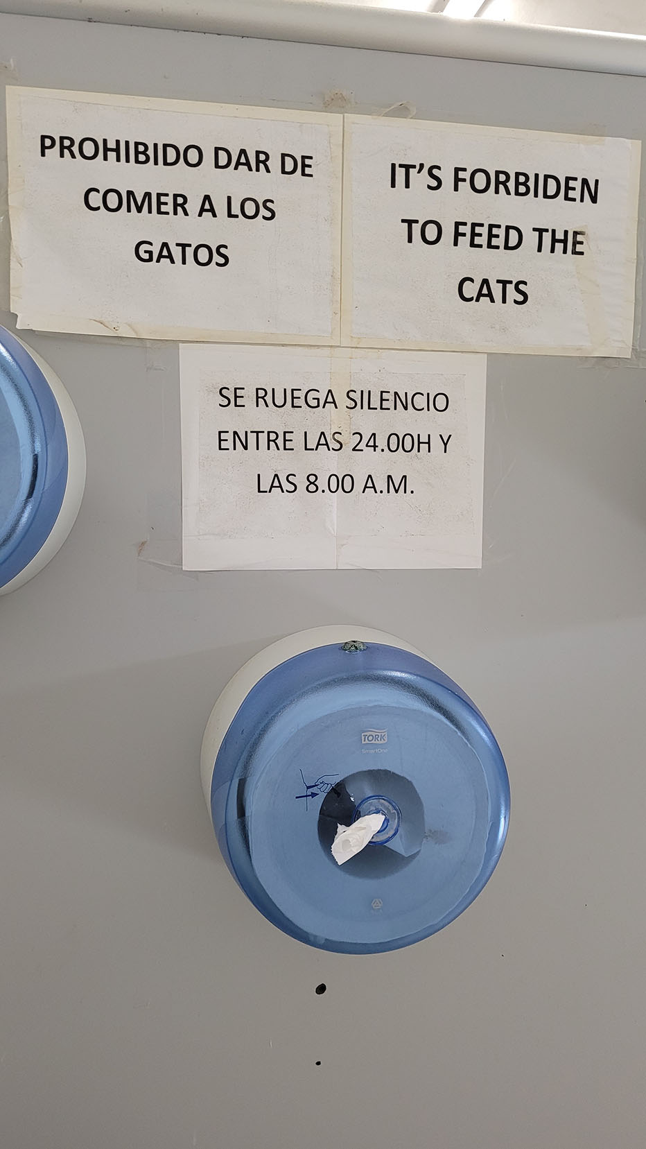 It is forbidden to feed the cats